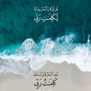 Meet your Posher, Hina